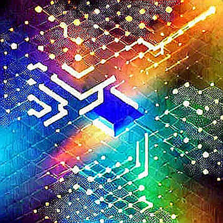 JIMOTHY: Câu Chuyện Về Chú Gấu Mèo Tạo Nên Cơn Sốt Meme Coin Trên Solana